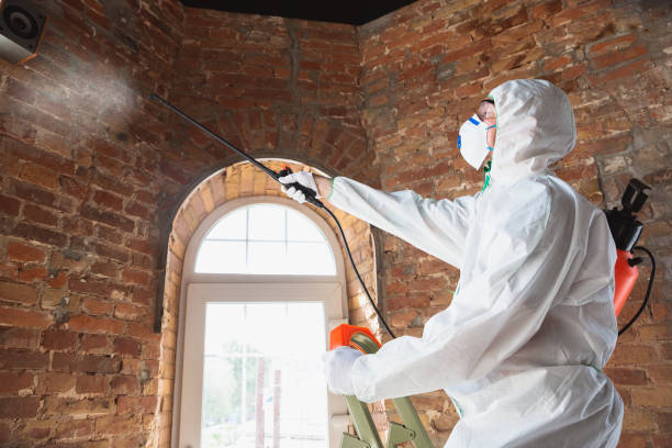 Best Forensic Mold Investigation  in Mount Sterling, KY